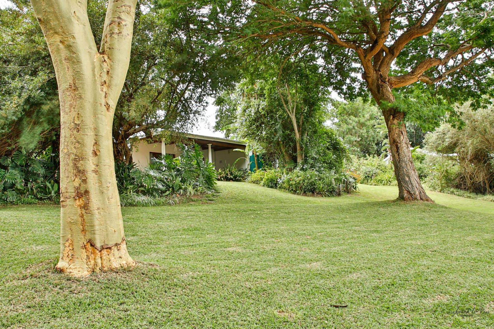 Ndlovu Addo River Lodge Kirkwood Екстер'єр фото